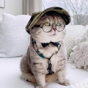 Meet your Posher, Roseanna